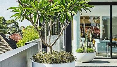 Terrace Plant Pots