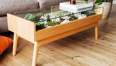 Terrarium Coffee Table Ideas