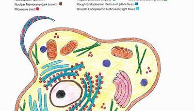 The Cell Coloring Worksheet