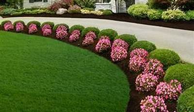 Transform Property &Amp; Landscaping