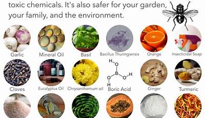 Types Of Organic Garden Pest Control