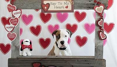 Valentines Day Dog Photoshoot Diy