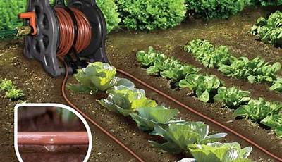 Vegetable Garden Drip Irrigation System Design