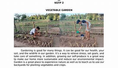 Vegetable Gardening Project Proposal Nstp