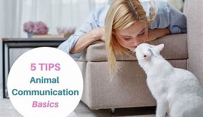 Unlock The Secrets: Discover Revolutionary Ways To Communicate With Animals