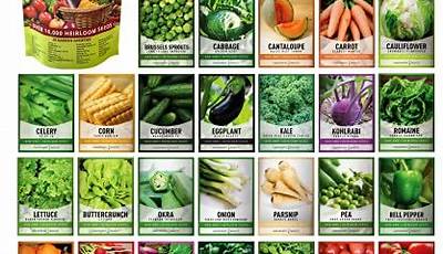 What Are The Best Vegetable Seeds