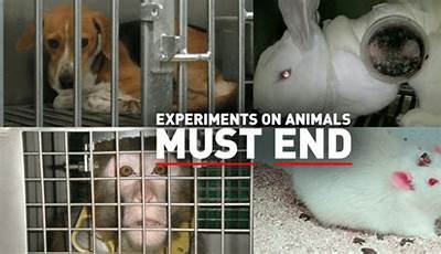 Unleash Scientific Advancements: Discover Viable Alternatives To Animal Testing