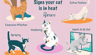 Unlock The Secrets Of Animal Heat Cycles: Uncover The Hidden Mechanisms