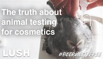 Unveiling The Truth: Makeup Animal Testing Demystified