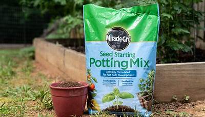 What Is The Best Indoor Plant Soil