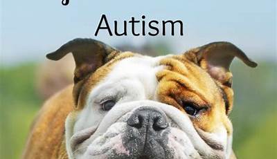 Discover The Ideal Pet For Your Autistic Child: Uncover Tailored Companionship And Joy