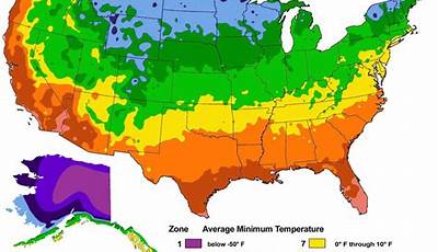 What Planting Zone Is 6