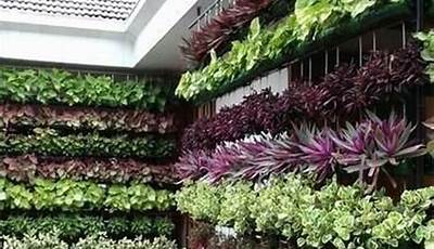 What Plants Are Good For Vertical Garden