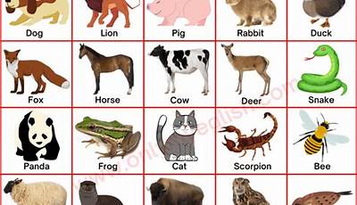 Discover The Art Of Naming Animals: A Guide To Meaningful Monikers