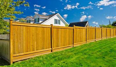 Which Fence Are You Responsible For In Your Garden