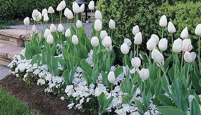 White Flowers For Landscaping