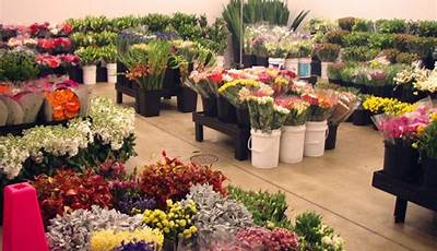 Wholesale Flowers In My Area