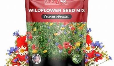 Wildflower Seeds Bulk Buy