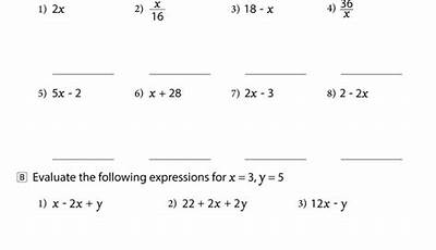 Worksheets On Evaluating Algebraic Expressions