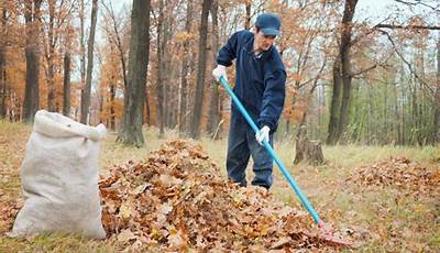 Yard Cleaning Services Near Me