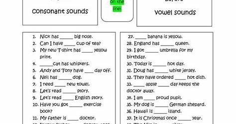 English For Beginners Worksheet