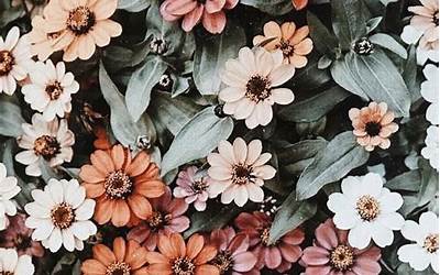 aesthetic floral iphone wallpaper