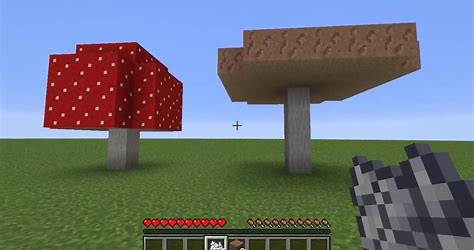 Mushroom Stem Minecraft