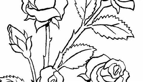 Flower Bouquet Is Made Of Roses Coloring Page : Color Luna