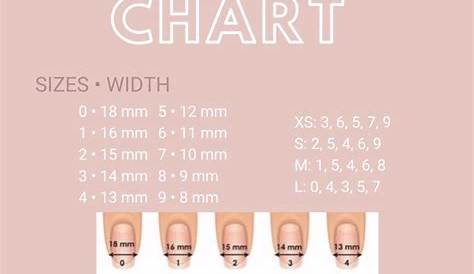 Press On Nail Size Chart - New Product Critiques, Deals, and Buying