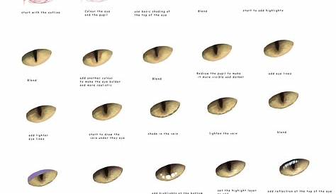 chart cat eye meaning