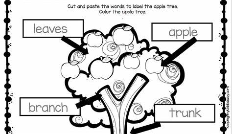 My Apple Tree Worksheets | 99Worksheets