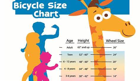 Bicycle Guide: Guide to Choosing a Bicycle