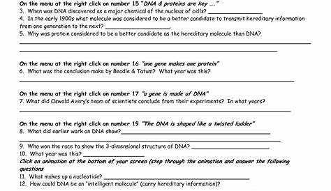 replication transcription translation and protein synthesis worksheet
