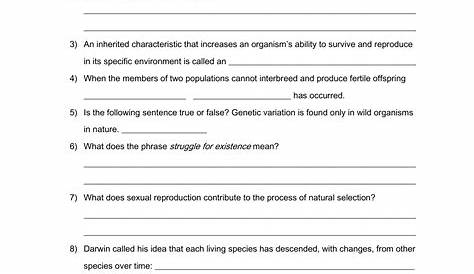 human evolution worksheets answers