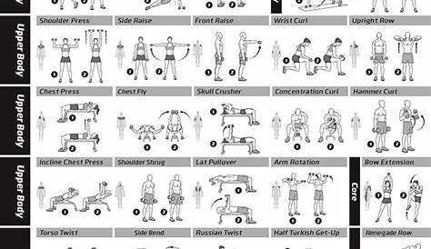 Printable Dumbbell Workout Chart Create Your Own Fitness Plan