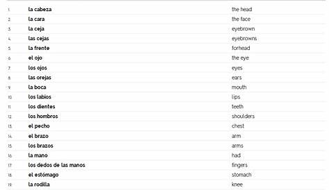 spanish body parts worksheet