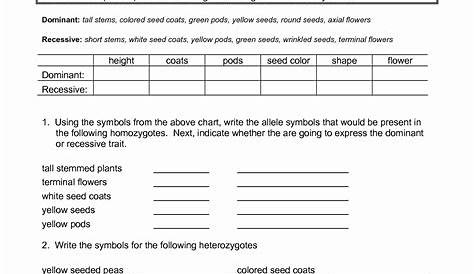 genetics challenge worksheet answers