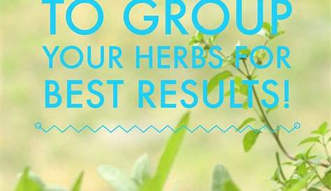 How to group indoor herbs together for the best results | Herbs, Herbs