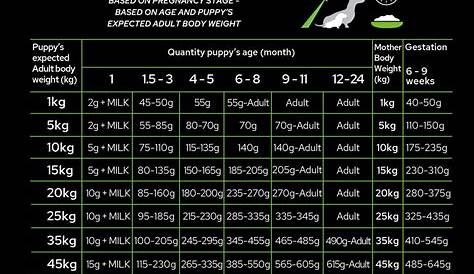 lab puppy feeding chart cups
