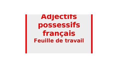 Adjectifs possessifs (French Possessive Adjectives) Worksheet 2 by