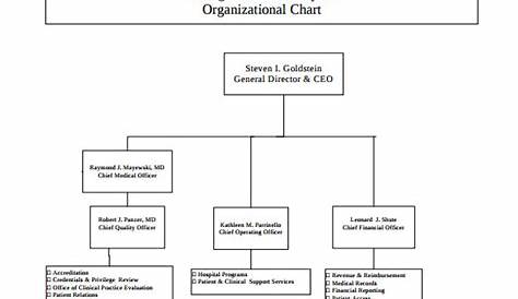 hospital organizational structure chart