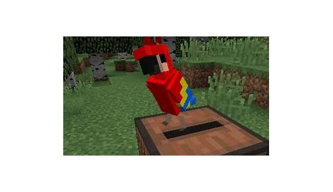 how to tame parrots in minecraft