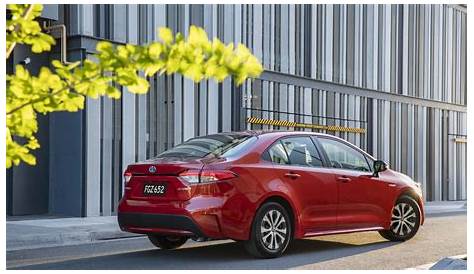 Road test review of 2020 Toyota Corolla Sedan | The Courier Mail