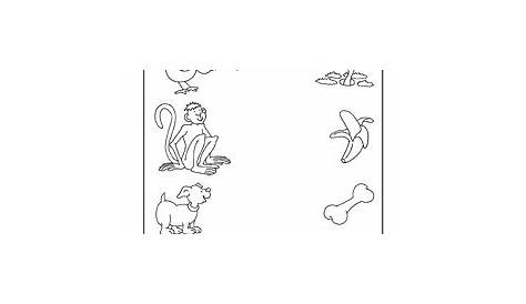 14 Best Images of Mammal Worksheets For Kindergarten - Printable Mammal