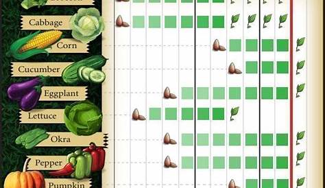 plant chart for vegetables