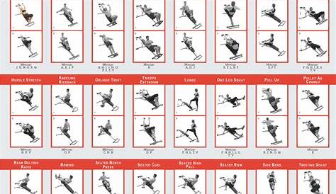 Gym workout chart, Total gym exercise chart, Workout chart