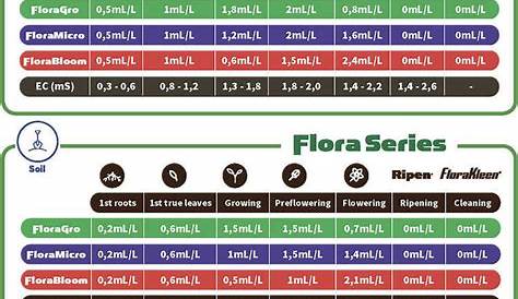 Autoflower hydroponic nutrient schedule