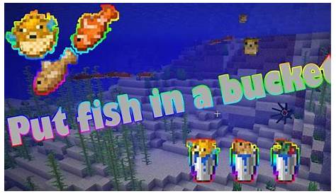 Minecraft - How to put fish in a bucket (Quick Tutorial) - YouTube
