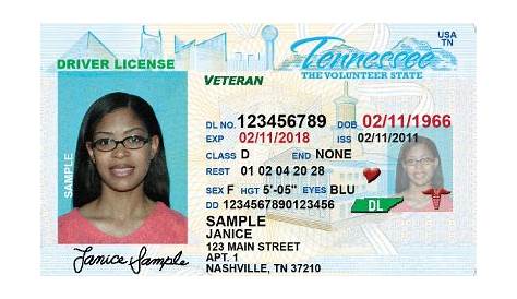 tennessee driver license manual