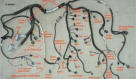 Ls1 Wiring Harness Diagram - Wiring Diagram